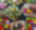 Screenshot 2026-03-07 at 12.02.34 PM.png
