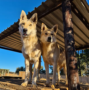 Dakota & Athena