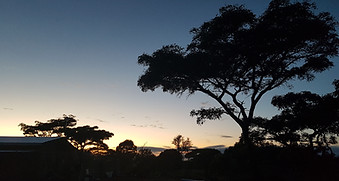 20210228_054146.jpg