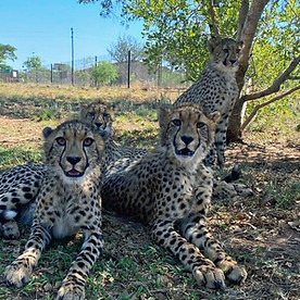 WhatsApp Image 2026-01-16 at 12.13_edite