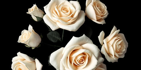 black background with elegant whit roses.jpg