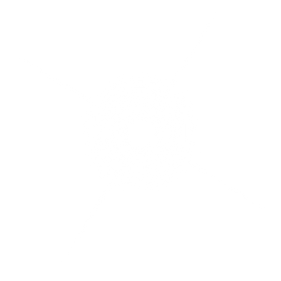 star4.png