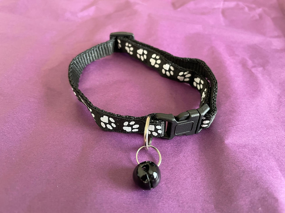 Thumbnail: Cat Collar with Bell