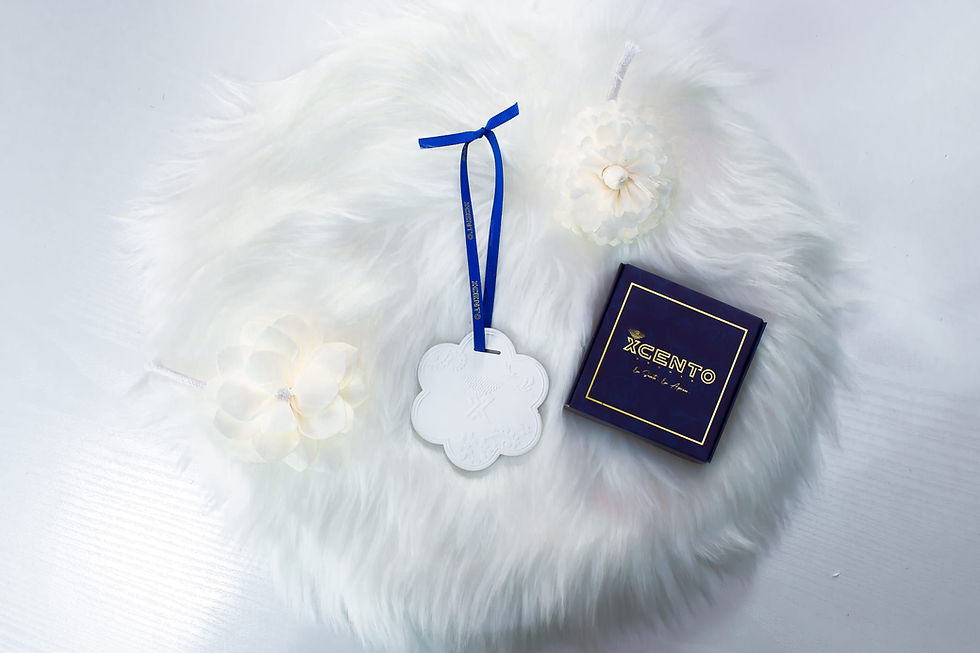 Miniatura: Gesso  / Artemisia