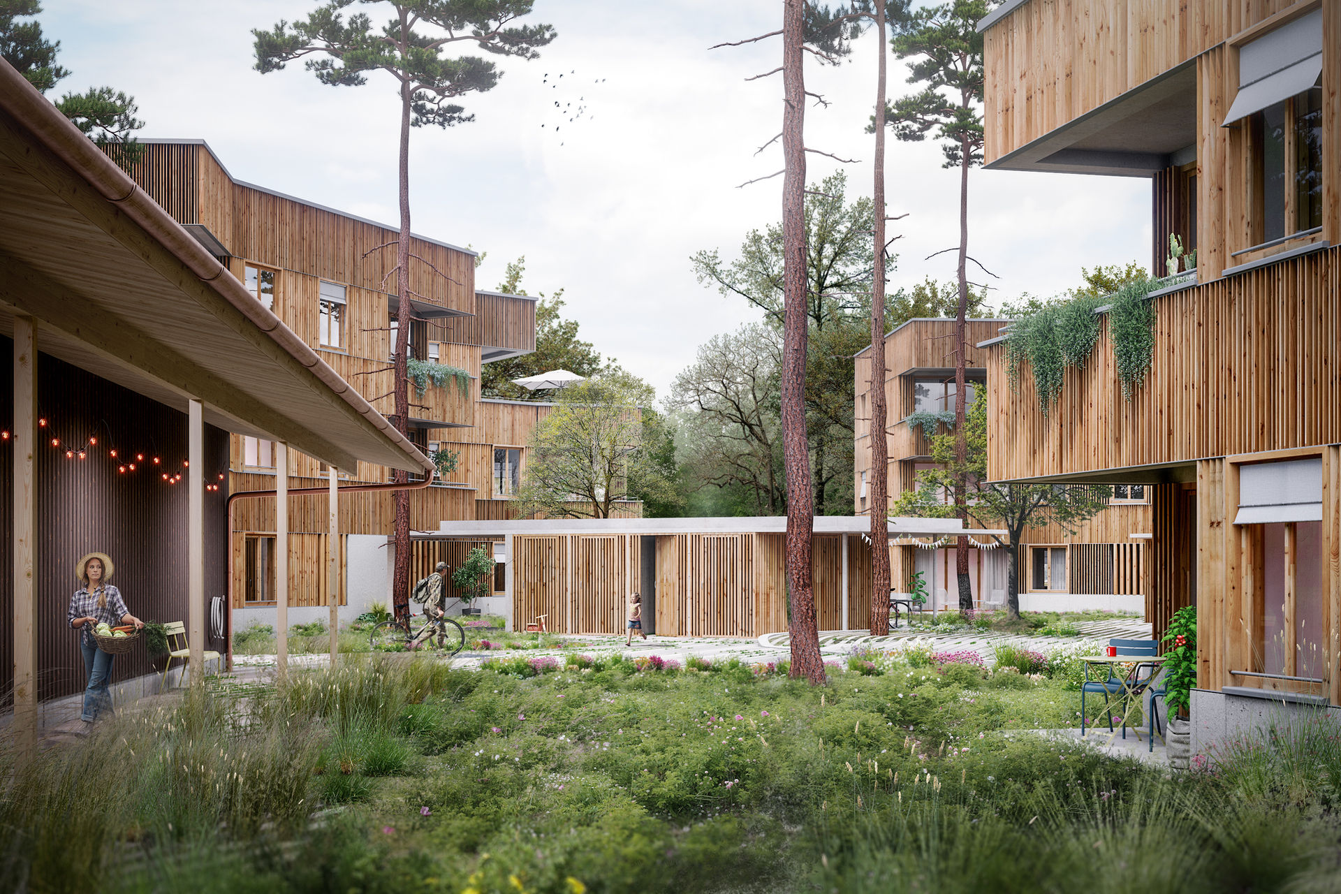 wohnsiedlung in hallstadt, schettler & partner architekten
Wohnsiedlung in Hallstadt