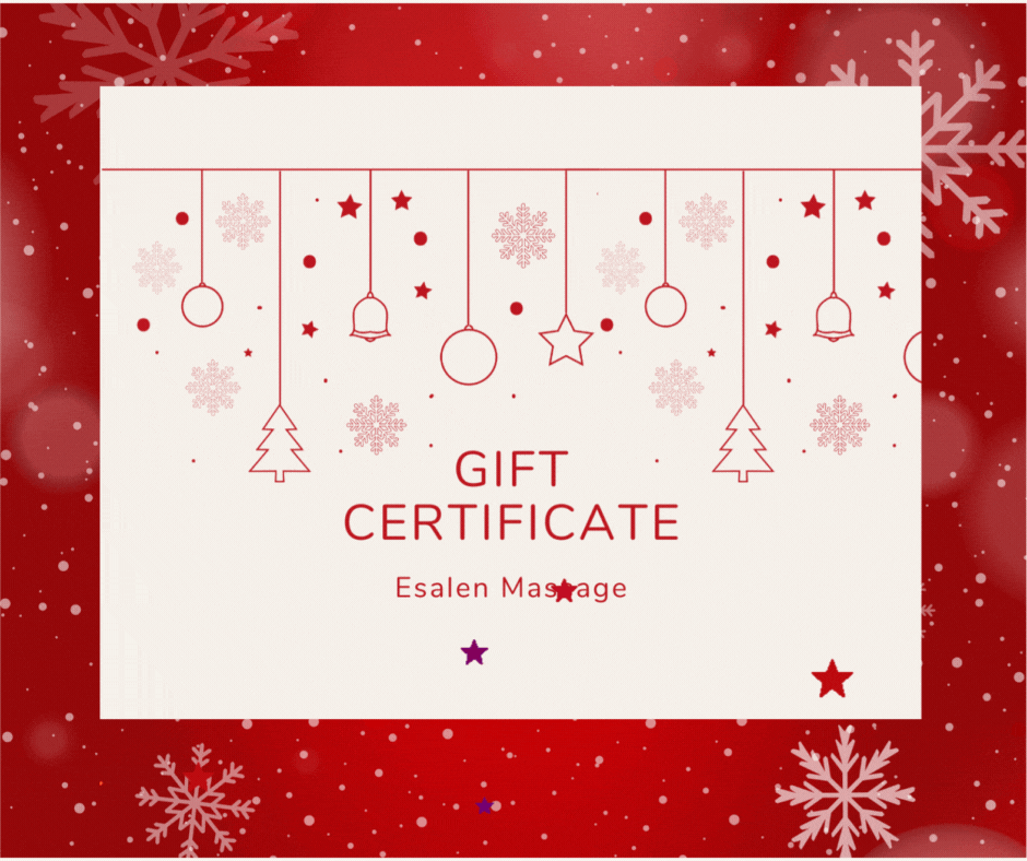 Christmas Gift Card animated.gif