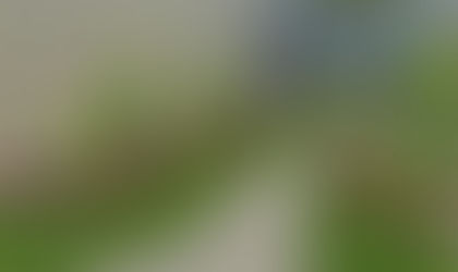 La importancia de un jardín en casa