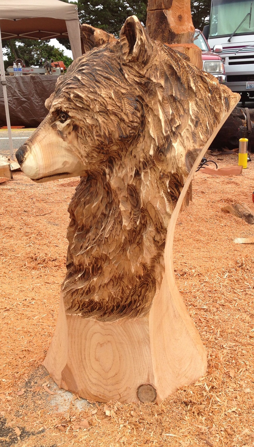 Carvings From Washington USA