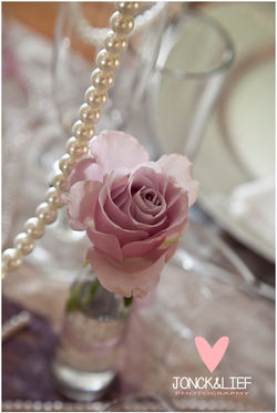 015Jonck&Lief_Weddings.jpg