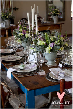 018Jonck&Lief_Weddings.jpg