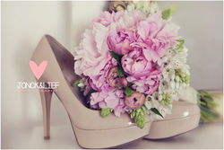 013Jonck&Lief_Weddings.jpg