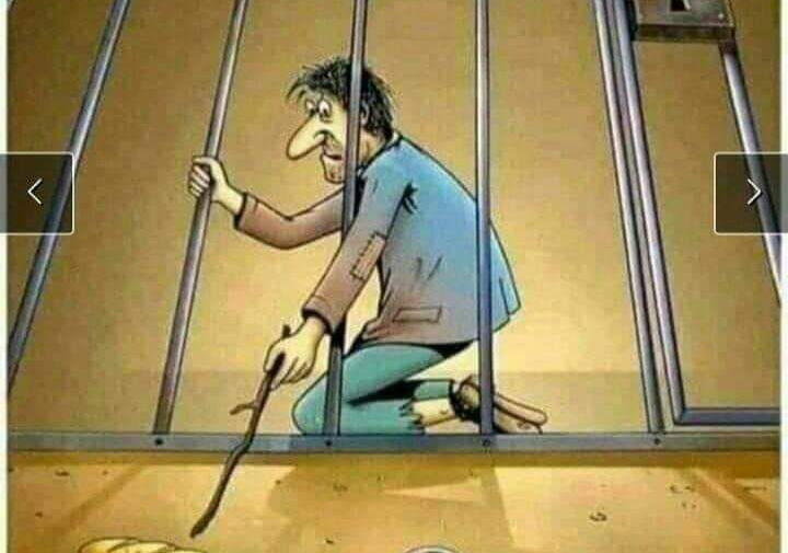 What's Happening in 2024