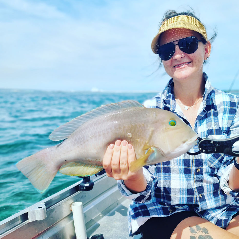 Thumbnail: Reef Raiders Stock | Shallow Reef Casting Rigs | 2 Rigs Per Pack