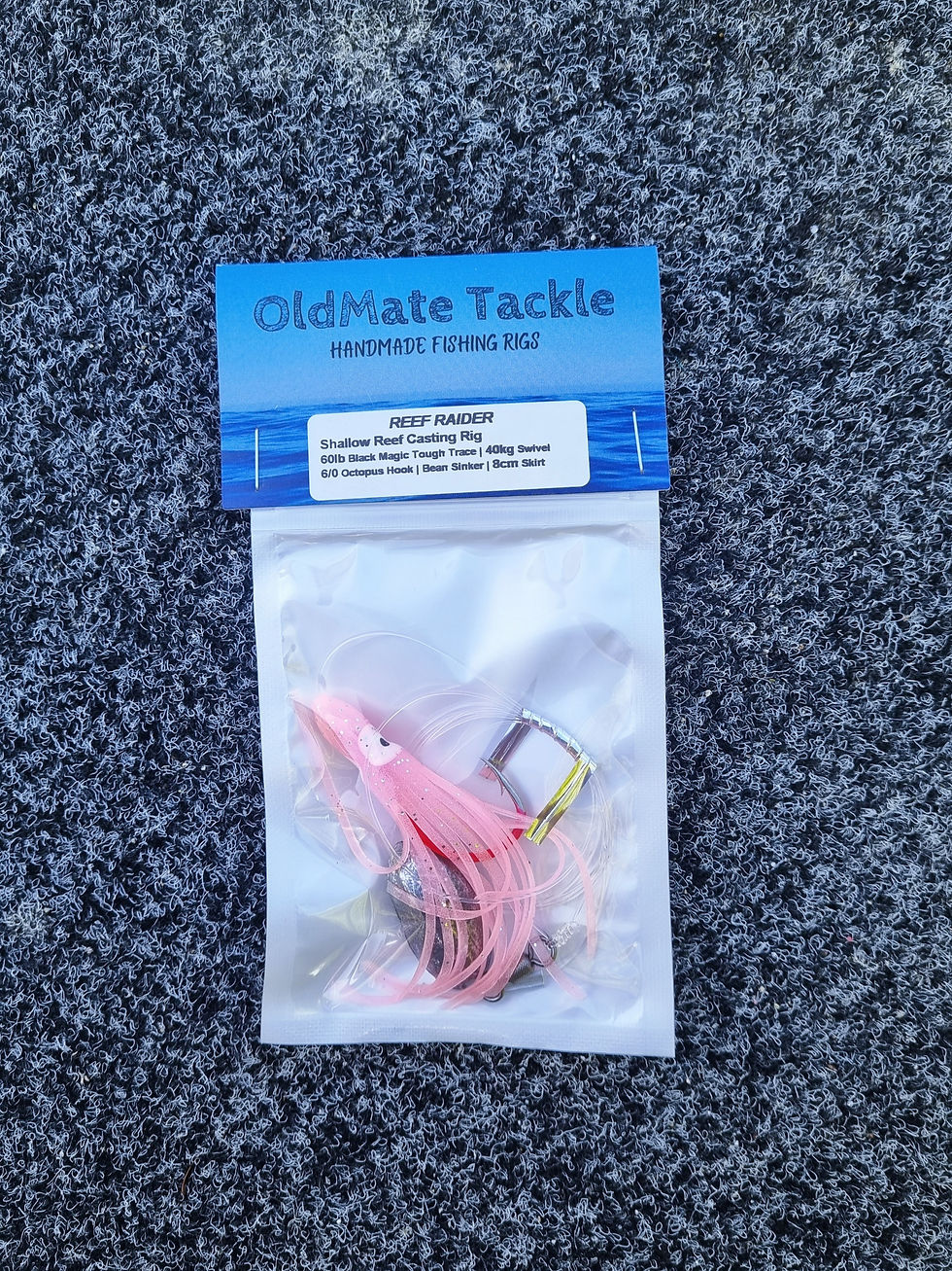 Thumbnail: Reef Raiders 6/0 | Shallow Reef Casting Rigs