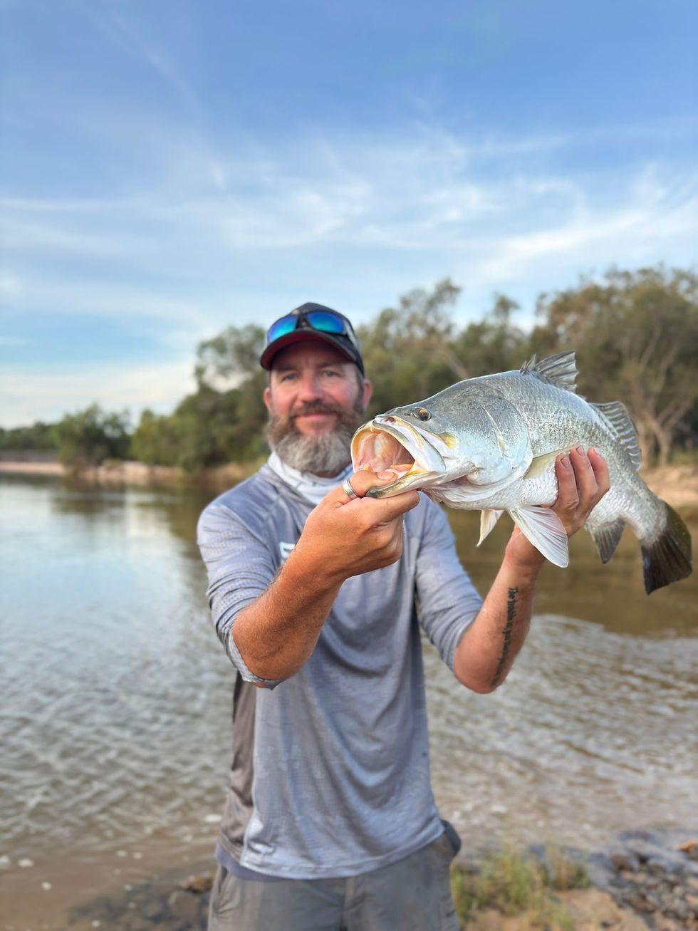 Thumbnail: Live Bait Barramundi Rig