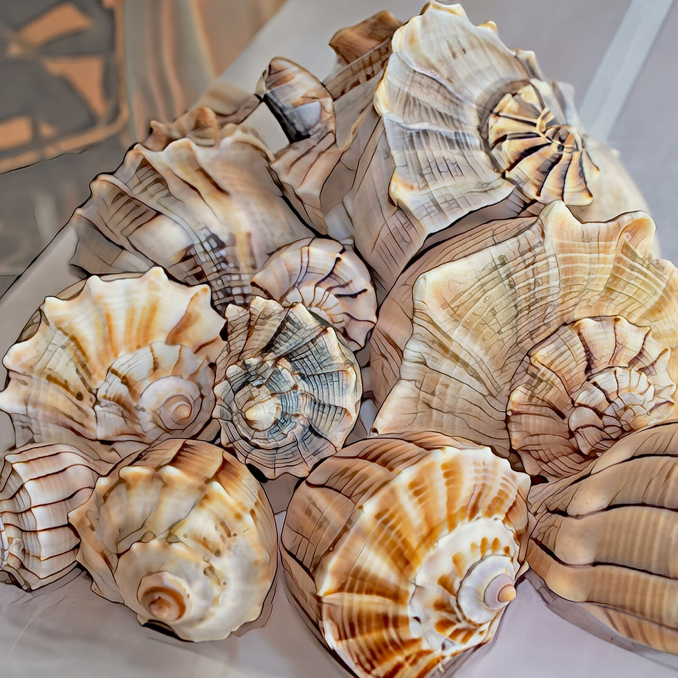 Visiting Sanibel/Captiva?