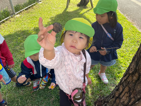 11月27日(水) 秋み~つけた♡