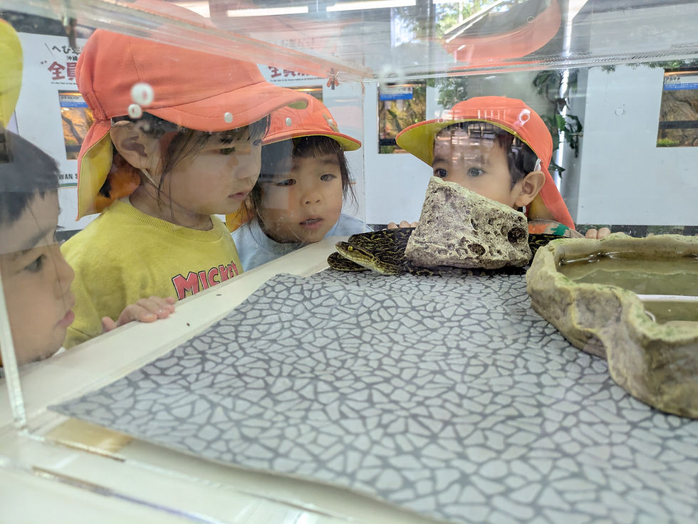 12月16日(火)ハブのお目目ってカッコイイ~♡