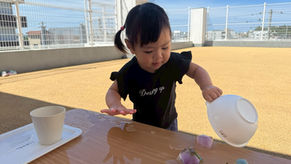 花壇に咲いているバタフライピーで花氷作りをしたよ！