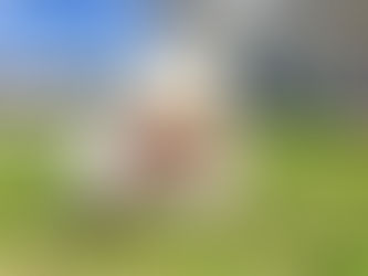 4月4日(金)ポカポカ暖かいお天気☀