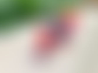 4月8日(火)楽しい異年齢交流♡