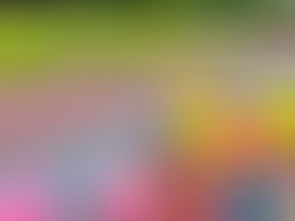 6月19日(水)どんな発見できるかな?