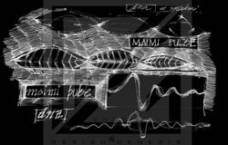 PULSE OF THE CITY MIAMI