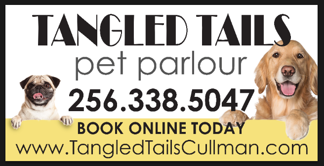 Pet parlor near me 2025