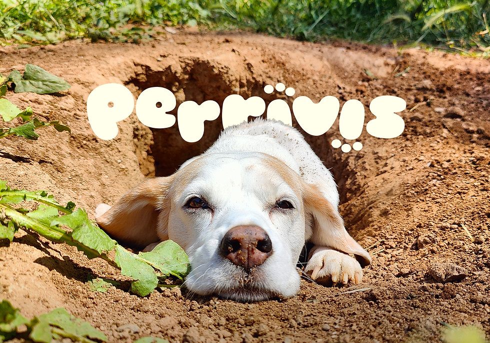 Home-Perrivis-logo-1.jpg