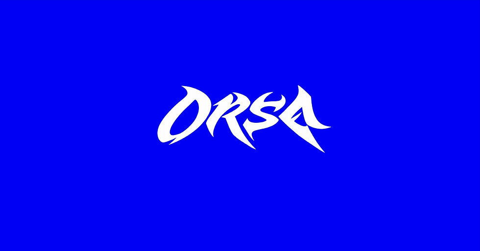 blue orsa banner