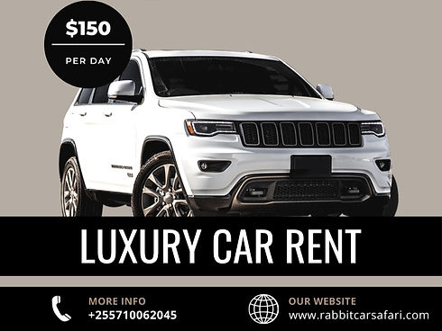 WhatsApp Image 2025-11-12 at 13.15_edited.jpg