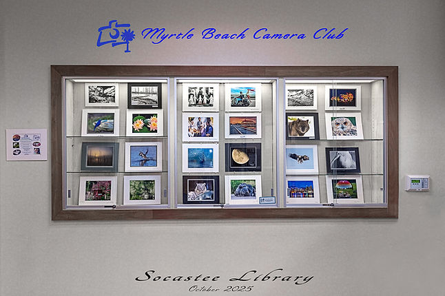 Socastee Library Display (October 2025).jpg