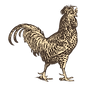 poulet