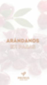 Arándano Chile
