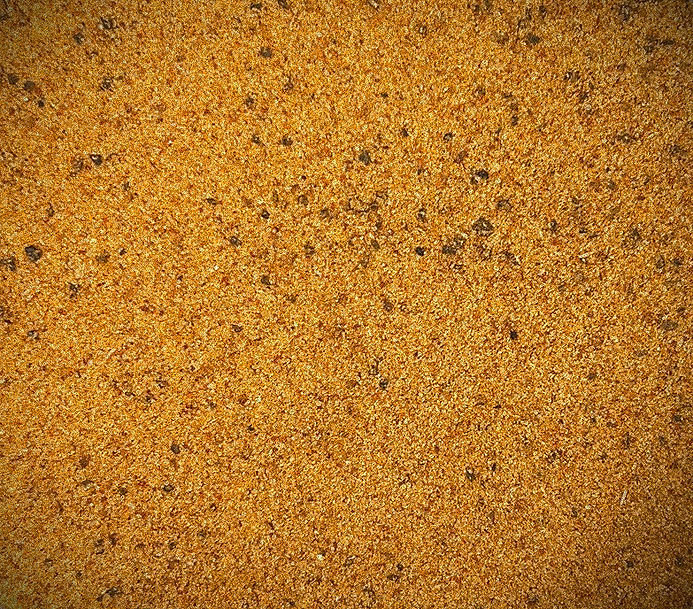 spice-1-crop_edited.jpg