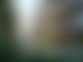 Golden Beryl Apartments: A Perfect Choice for Apartments for Sale Chattarpur