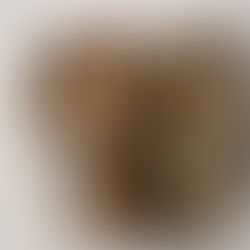 Missão exportadora abre caminhos jurídicos para marcas de calçados brasileiras