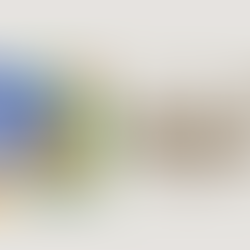 COP30 e a moda na era da responsabilidade ambiental: o Direito como agente de transformação no setor fashion