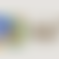 COP30 e a moda na era da responsabilidade ambiental: o Direito como agente de transformação no setor fashion