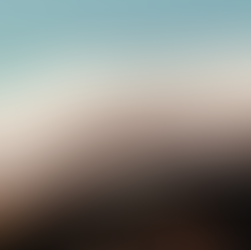 Entre arte e propriedade intelectual: o novo Vans de Sterling Ruby no Fashion Law