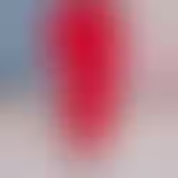 Fashion Law & Fusões: possível união entre Puig e Estée Lauder pode redesenhar o mercado de beleza