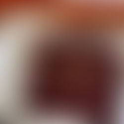 Hermès vence processo e Birkin consolida sua valorização milionária