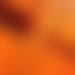 Hermès lidera valorização de revenda em 2025: luxo, mercado secundário e Direito da Moda