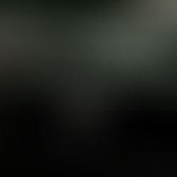 Milão Fashion Week 2025: celebra moda e o legado de Giorgio Armani