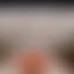 Bottega Veneta inaugura mega loja em Nova Iorque e reforça a flagship como ativo estratégico no Direito da Moda