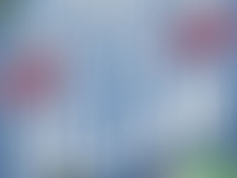 Accomplice to the Villain