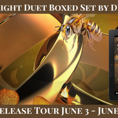 Release Tour for Wicked Knight Duet Boxed Set by Diana A. Hicks