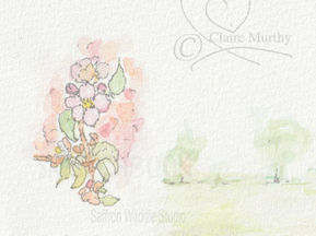 Illustrating a Children's Book about Bees