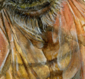 0217 autumn bee p copy_edited_edited.jpg