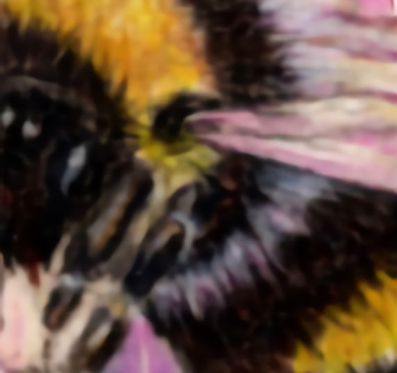0127 bee on chives_edited_edited.jpg